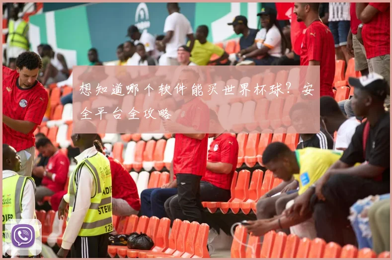 想知道哪个软件能买世界杯球？安全平台全攻略