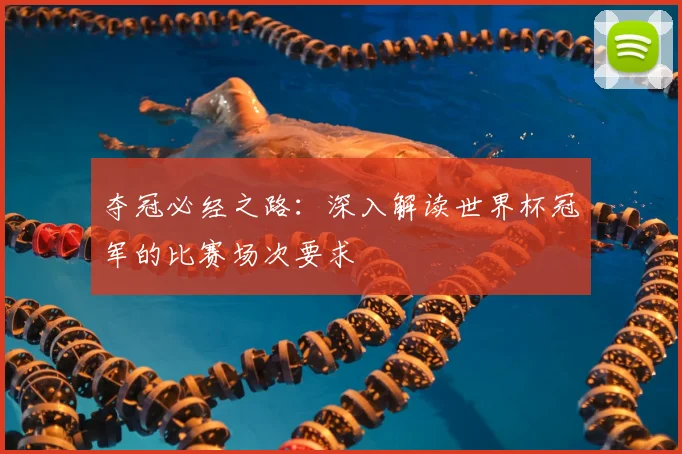 夺冠必经之路：深入解读世界杯冠军的比赛场次要求