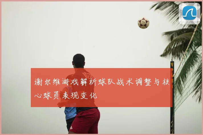 谢尔维游戏解析球队战术调整与核心球员表现变化