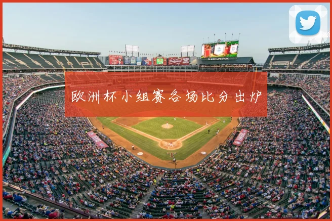 欧洲杯小组赛各场比分出炉
