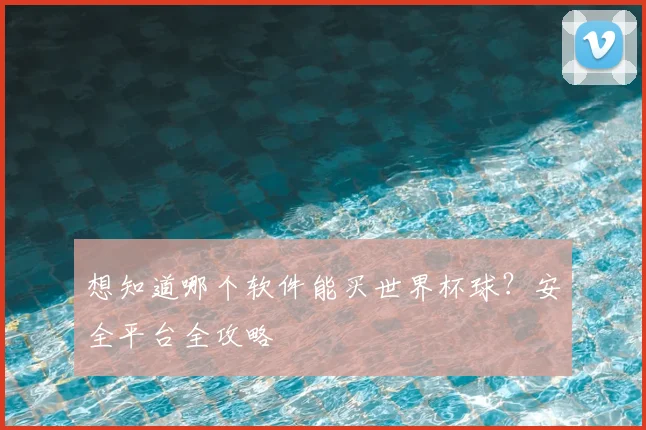想知道哪个软件能买世界杯球?安全平台全攻略
