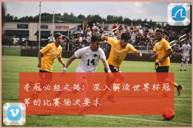 夺冠必经之路:深入解读世界杯冠军的比赛场次要求