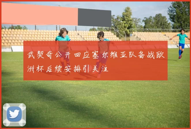 武契奇公开回应塞尔维亚队备战欧洲杯后续安排引关注