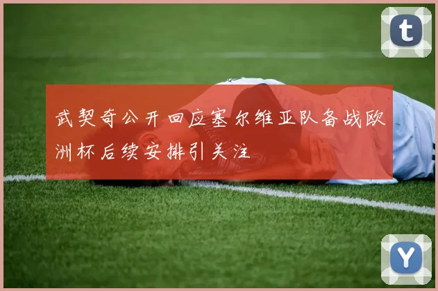 武契奇公开回应塞尔维亚队备战欧洲杯后续安排引关注